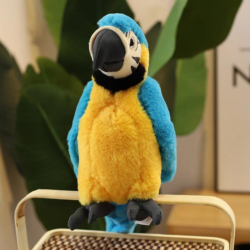 Product Introduction of 25CM Lifelike Bright Colorful Parrot Plush Toys Soft Simulation Wild Animals Stuffed Bird Doll Children Kids Gift Home Decor 6