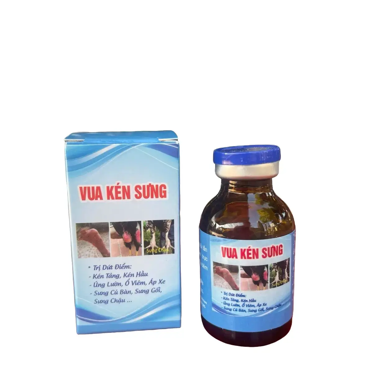 Vua kén Sưng cho gà chọi, gà tre, gà cựa