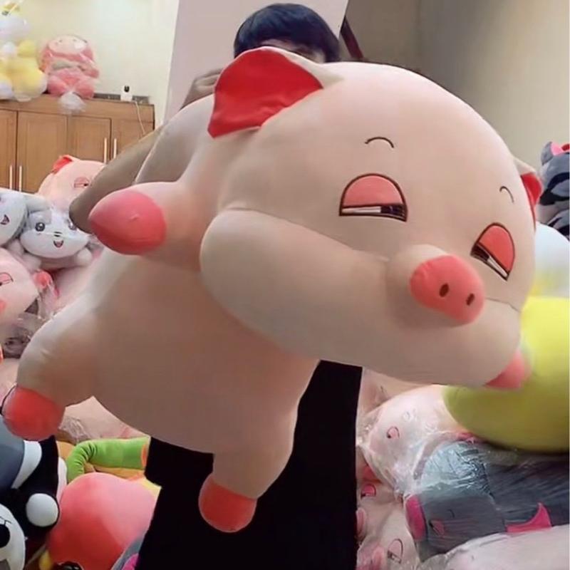  Gấu Bông Heo Hip Siêu To Khổng Lồ 