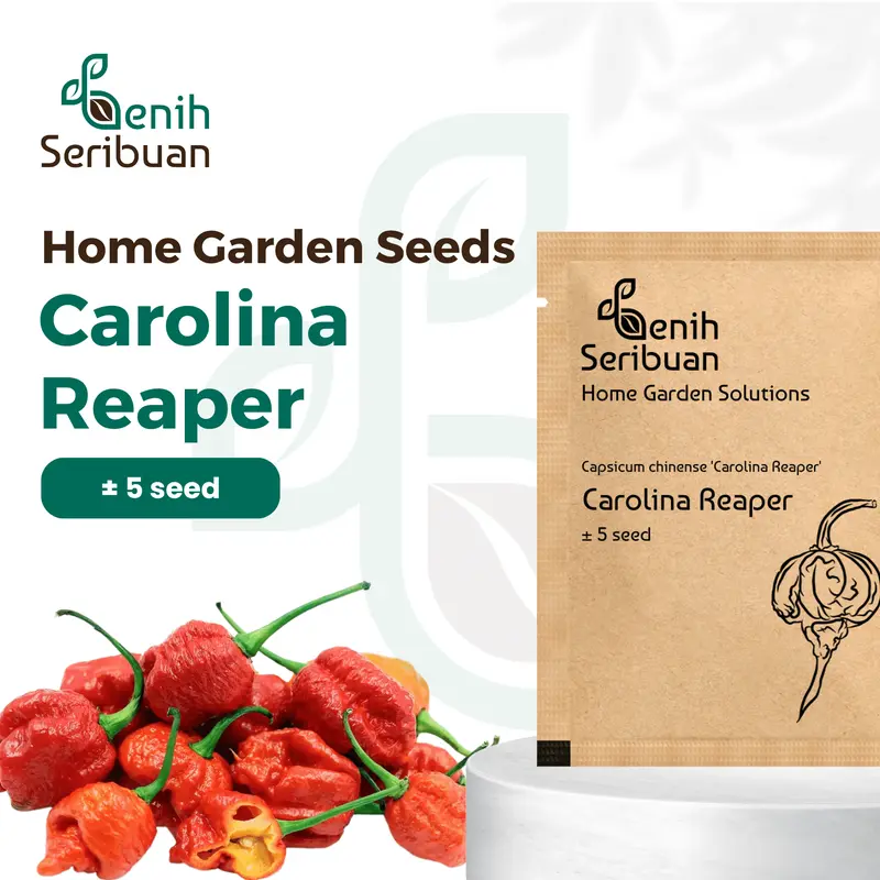 Benih Cabe Carolina Red Reaper Merah Cabai Pedas Heirloom Premium - Benih Seribuan 0
