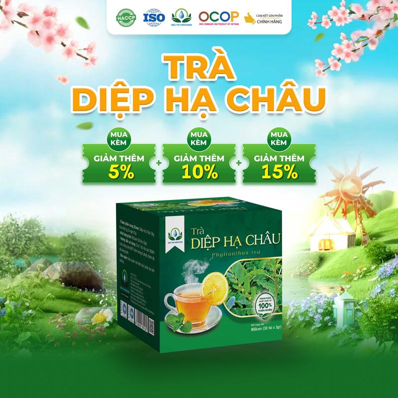 Trà Diệp Hạ Châu hộp 30 Túi Lọc x 3Gram Siêu Thị Thiên Nhiên Nước Trà Chè Tea