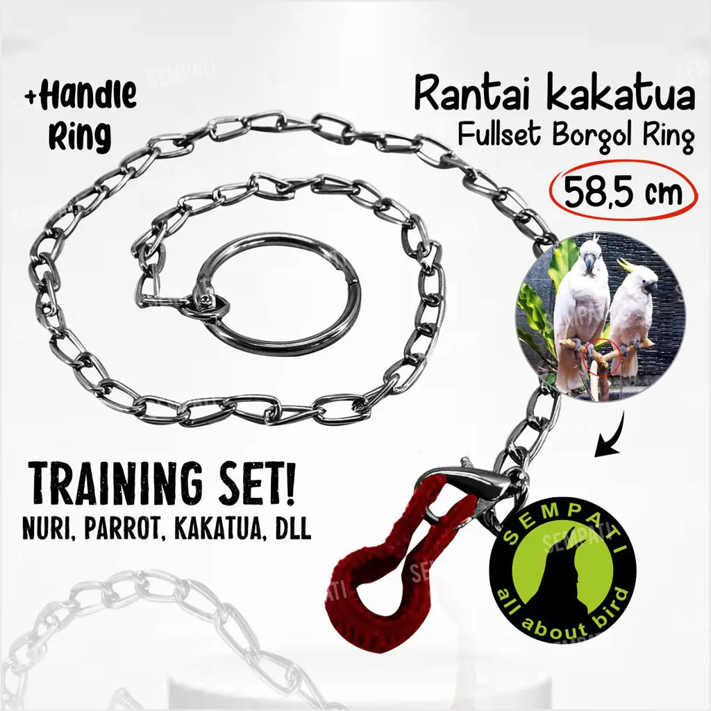 SEMPATI Rantai Borgol Burung Parkit Parrot Rantai Kaki Burung Training Burung Rantai Free Flying Burung