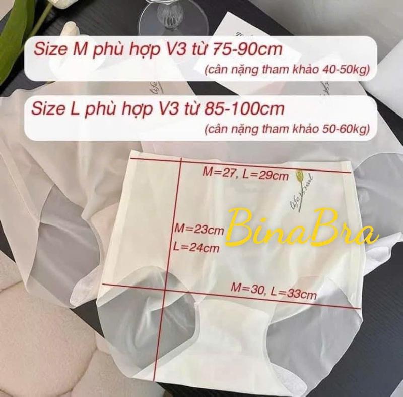 (Sét 10) Quần Lót Su Tàng Hình Hoa Tulip Không Viền, Cạp Cao,Mỏng Nhẹ, Kháng Khuẩn Nữ Quần Lót Women 1