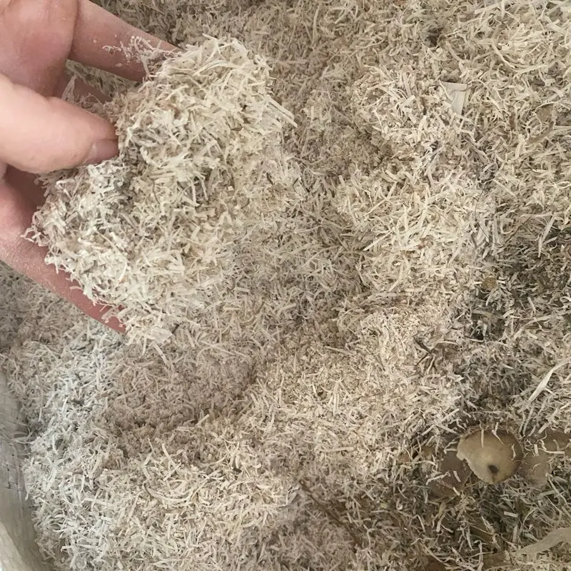 Vụn sừng trâu bón cây cảnh , rau củ quả