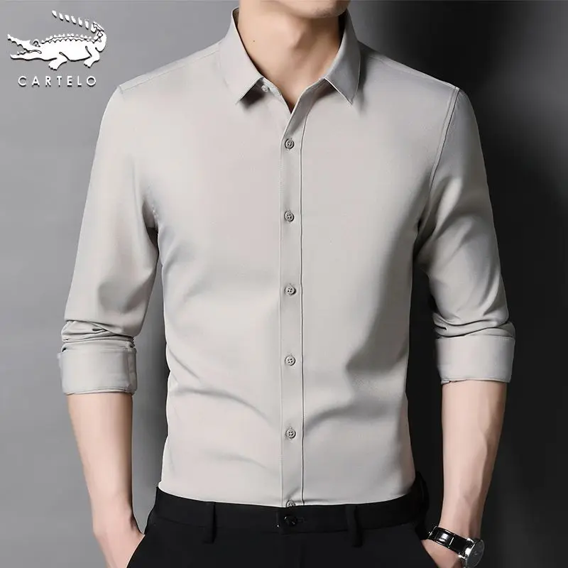 Áo Sơ Mi, Dành Cho Nam Giới, Dài Tay Áo, Phong Cách Doanh Nhân, Không Cần Ủi, Màu Trơn Áo Sơ Mi Trắng, Thích Hợp Cho Mùa Xuân Và Mùa Thu, Nam Giới Đi Chơi Trung Niên, Áo Trang Trọng, 2024