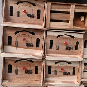 PAGUPON GUPON MERPATI DARA PERKUTUT SIZE SEDANG MEDIUM