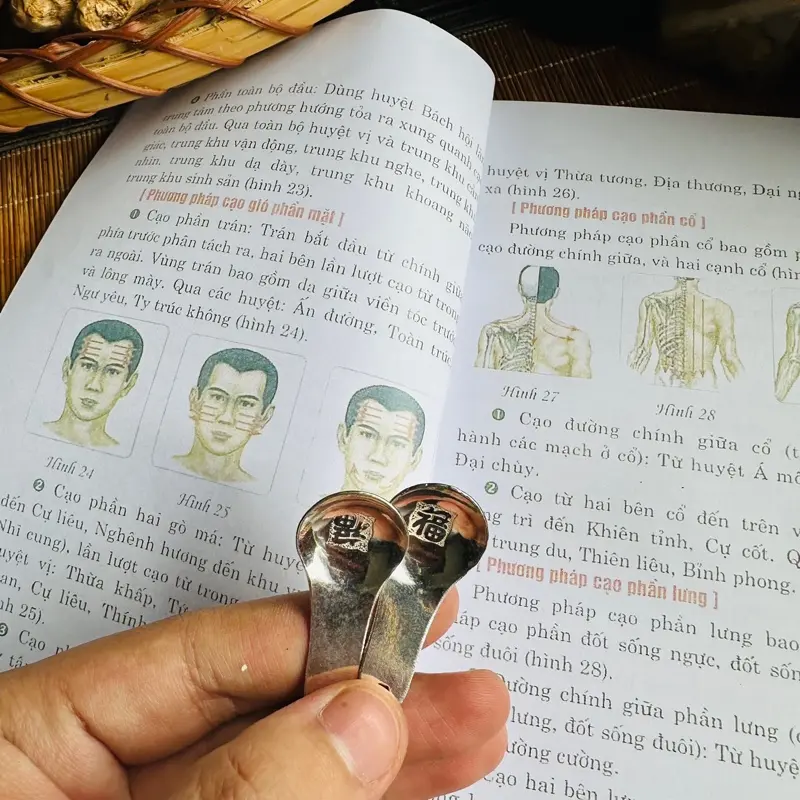 Thìa bạc đơn bạn cần