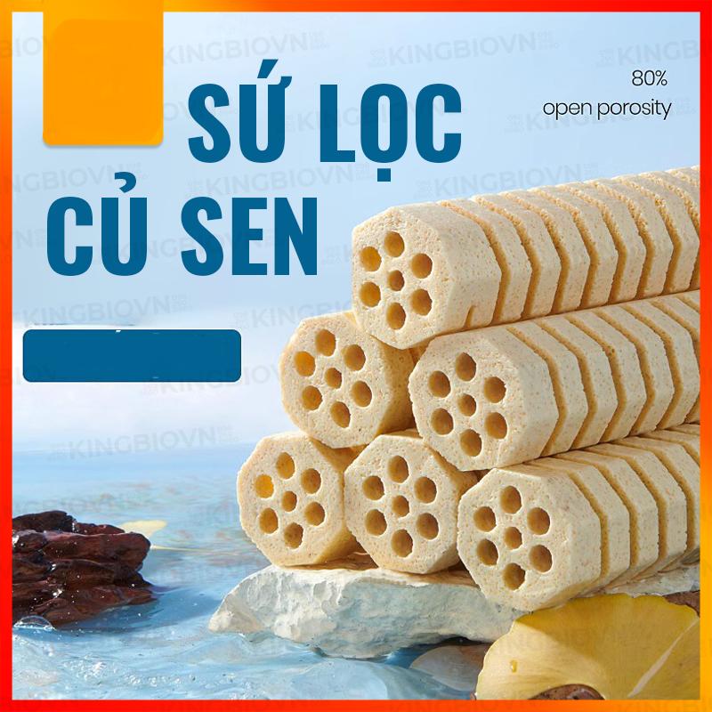 Hộp 10 thanh sứ củ sen xoắn cao cấp MBIO 16x4cm lọc nước hồ cá cảnh.