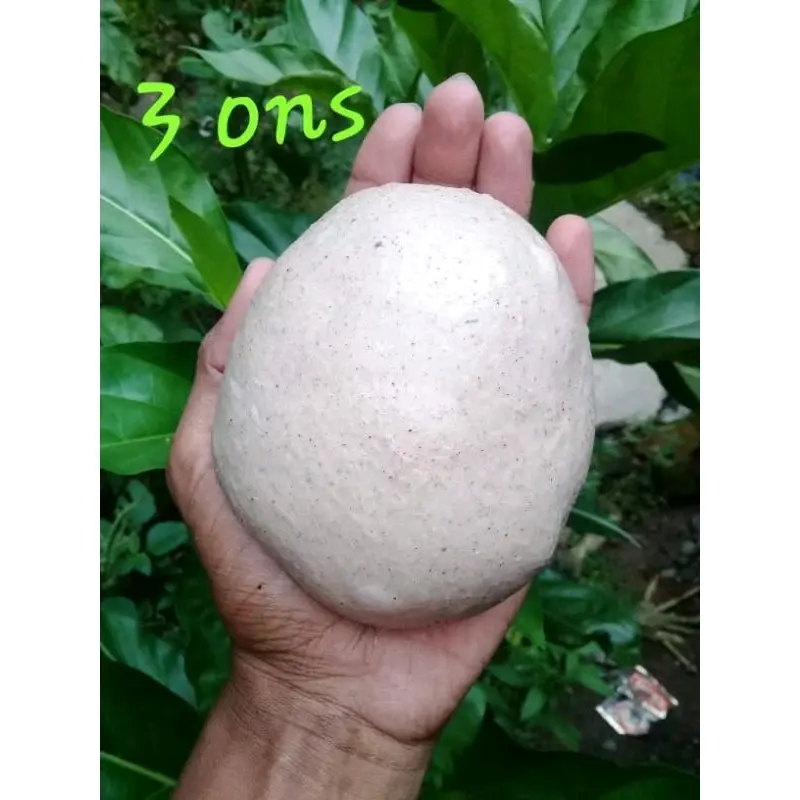 pulut anti leleh anti lalat isi 25gram 3