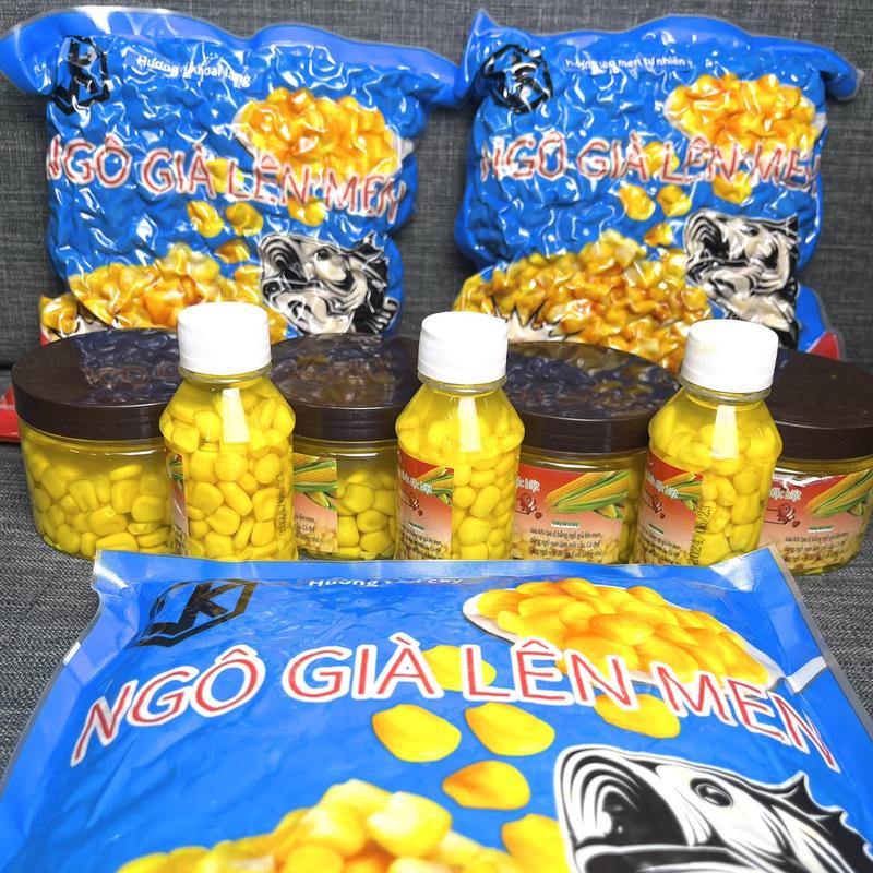 [LK HÒA] MỒI NGÔ Ủ LK, MỒI CÂU CHUYÊN ĐÁNH CHÉP VÀ TRẮM TRẮNG Đi Câu Bắt Cá Fishing Câu Cá