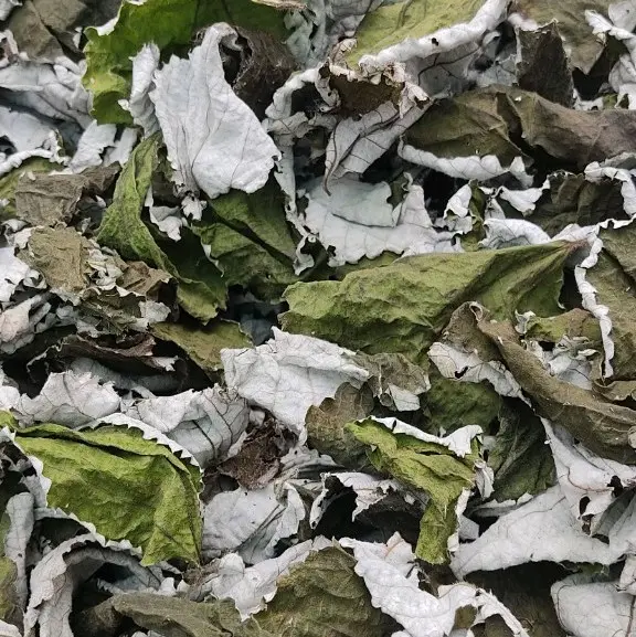 lá gai khô làm màu đen cho bánh gai
