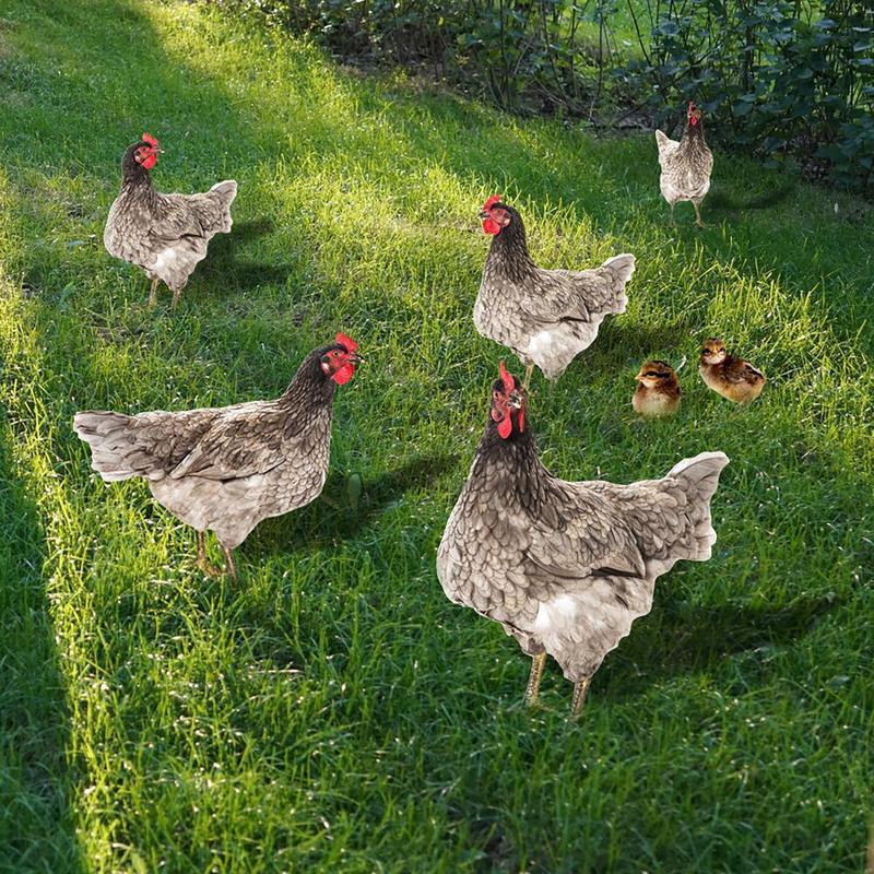 Rooster Decor Realistic Life-like Ornamental Double-sided Printing Acrylic Garden Statue Chicken for Yard 6