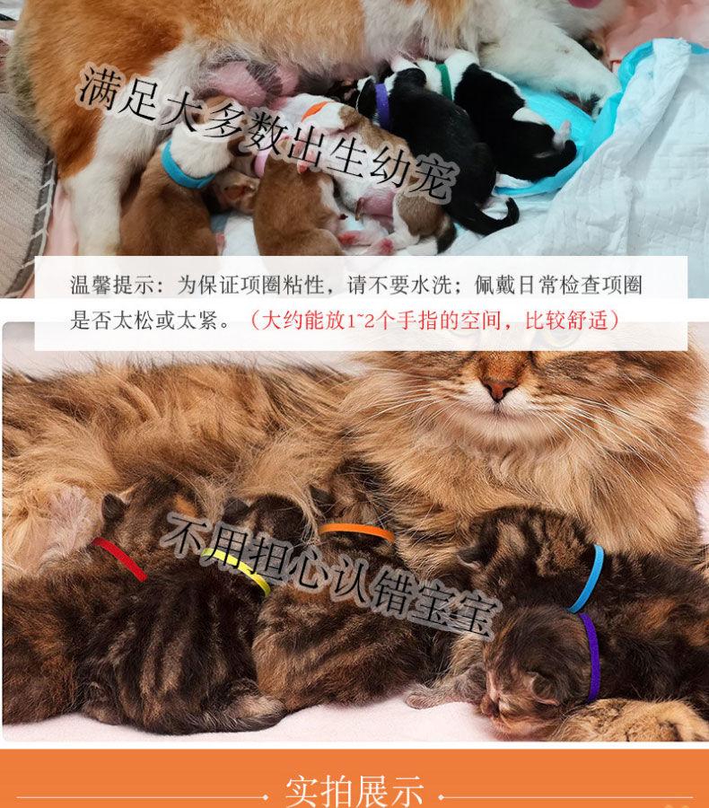 Product Introduction of Vòng Cổ Phân Loại Thú Cưng, Hàng Mới Về Năm 2025, Dành Cho Mèo Con Và Chó Con, Vòng Cổ Nhận Dạng, Thích Hợp Cho Chó Con Và Mèo Sơ Sinh, Vòng Cổ Thứ Tự Sinh, Thích Hợp Cho Chó Sữa 8