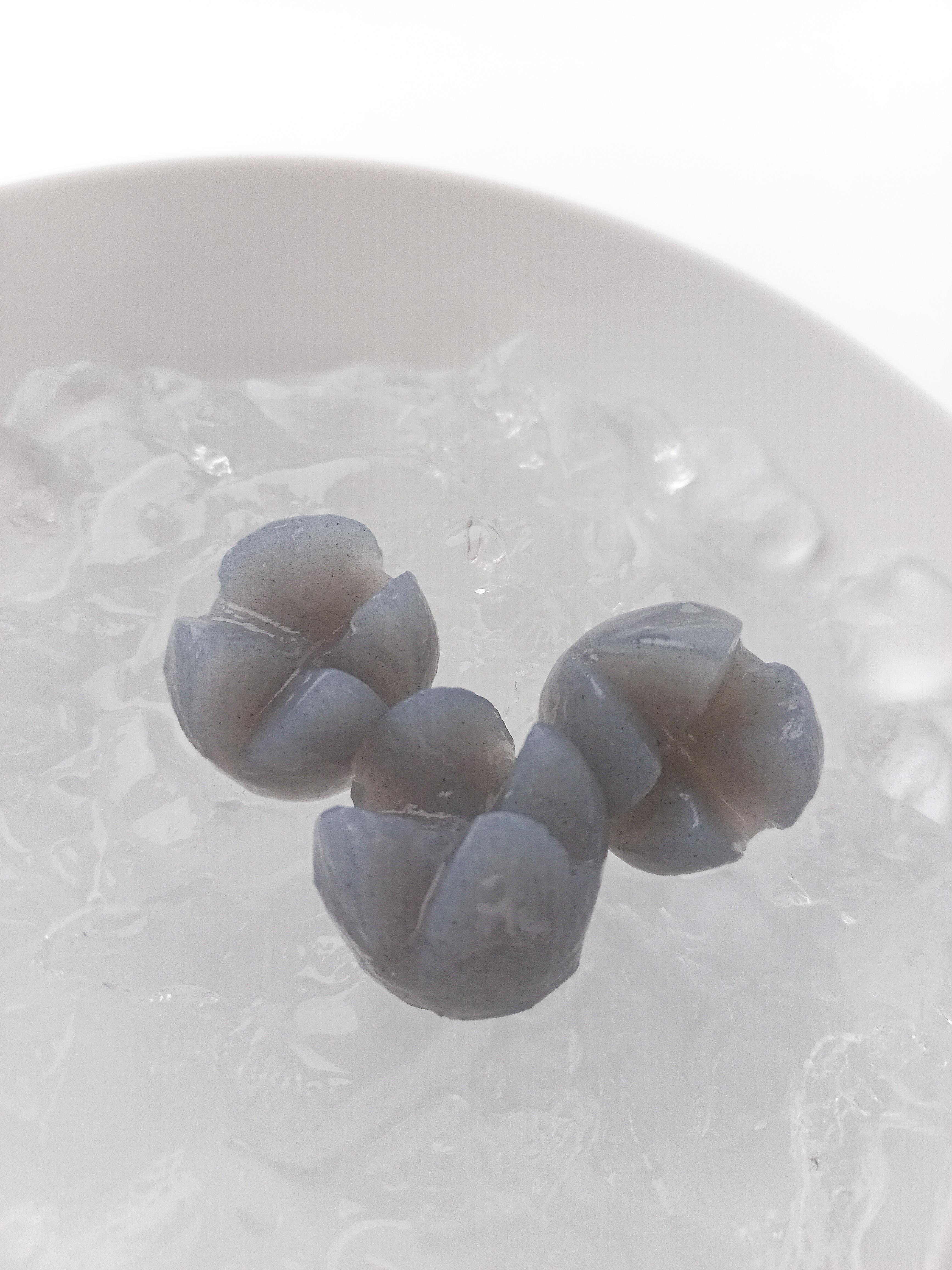 JELLY MOTIF BAKSO/CEKER 1 KG BY DELICOOL JELLY MOTIF BAKSO/CEKER 1 KG BY DELICOOL