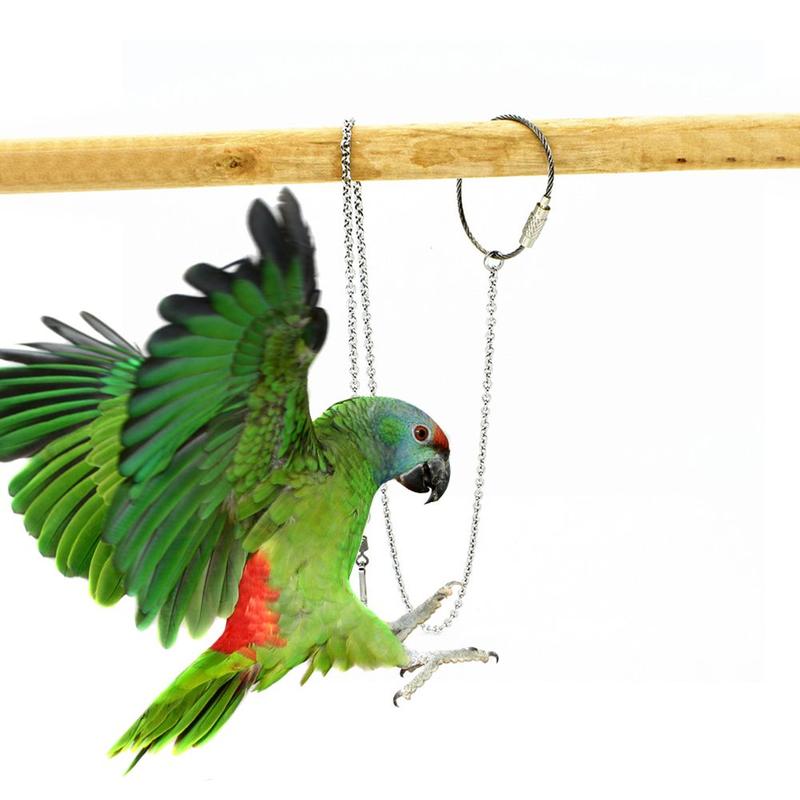 Product Introduction of gootrades 4 Size Safe Stainless Steel Parrot Foot Chain Ankle Foot Ring Bird's Foot Ring Anklet Stand Chain 15