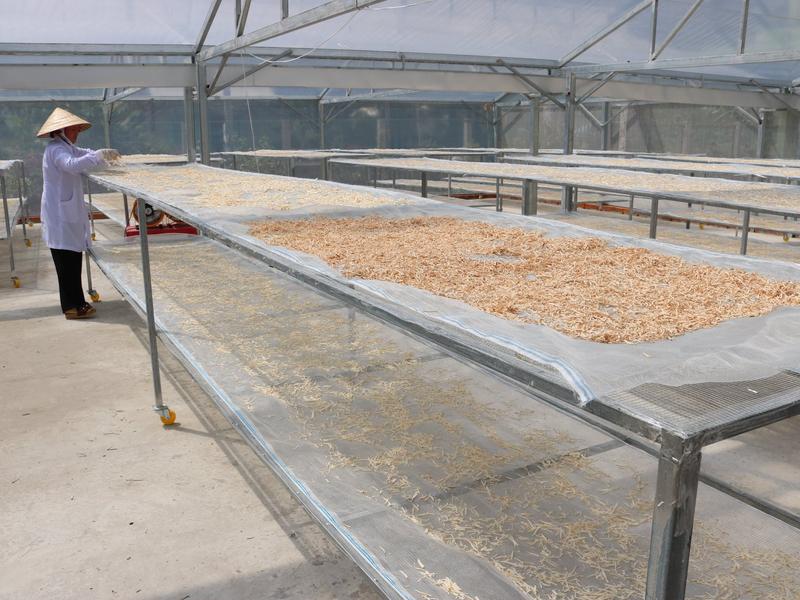 {ĐẠT CHUẨN OCOP 4*} TRÀ MÃNG CẦU LONG GIANG TÚI 100g 5