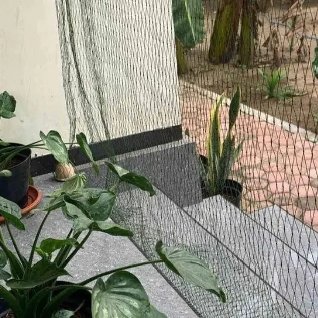 Jaring pagar ayam ukuran 4x25 meter bisa untuk pagar ayam jaring kandang ayam jaring pagar tanaman 4