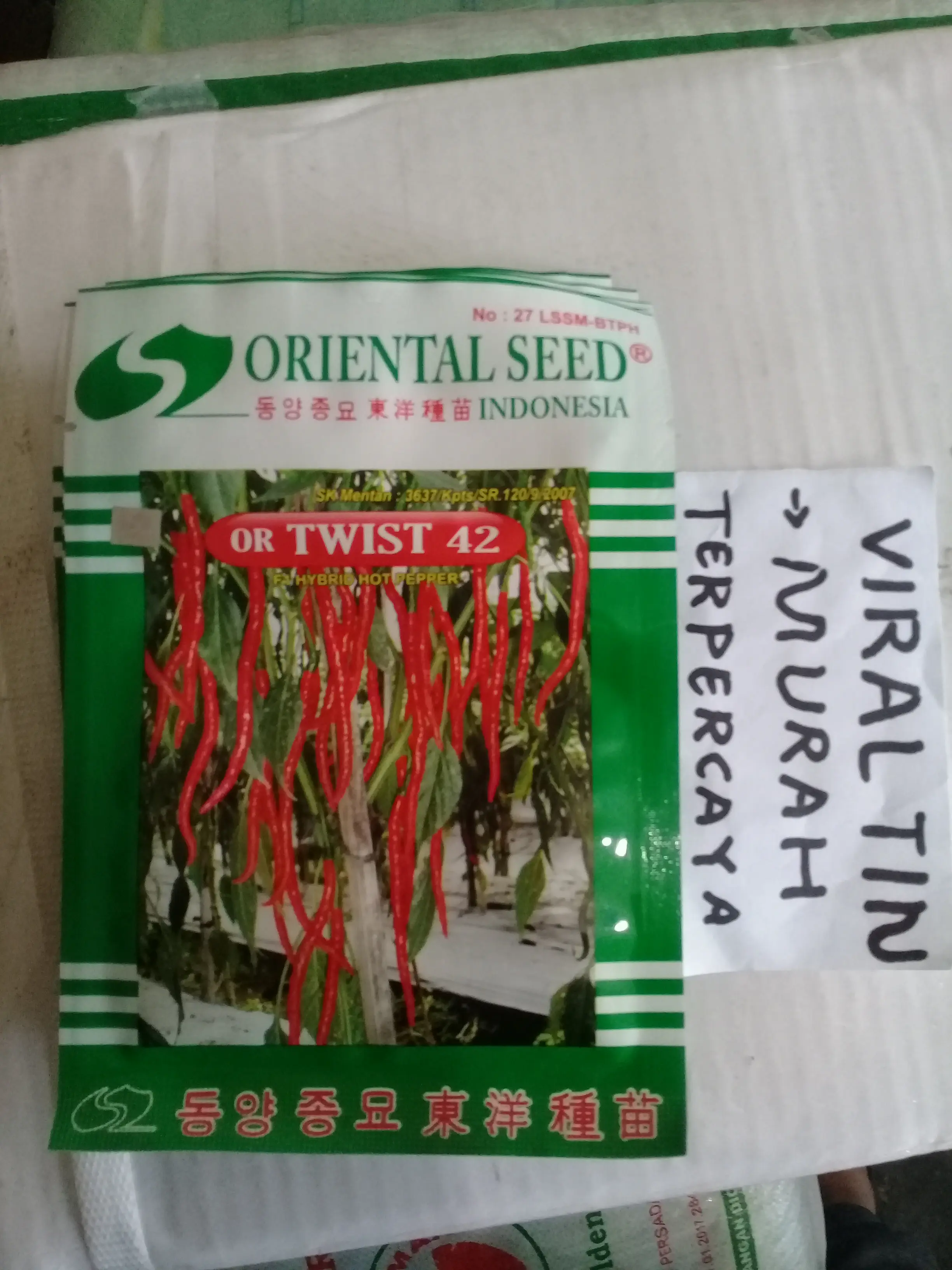 bibit / benih cabai OR twist 42