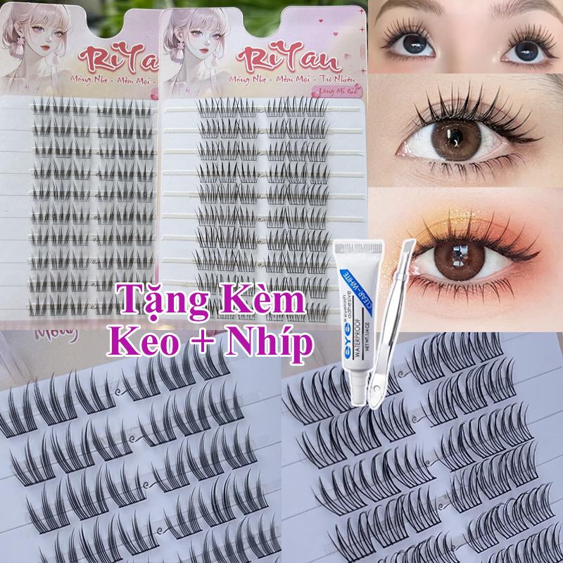 Lông Mi Giả RiYan Phong Cách Mèo Móng Vuốt Trang Điểm Tự Nhiên Sợi Cao Cấp Kèm Keo Nhíp bảng nối