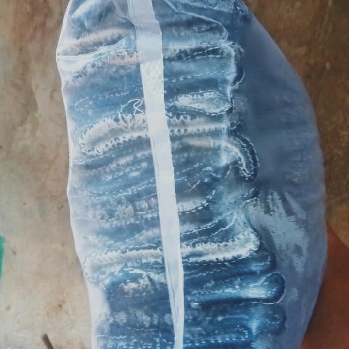 sarung tangan benang 8 2