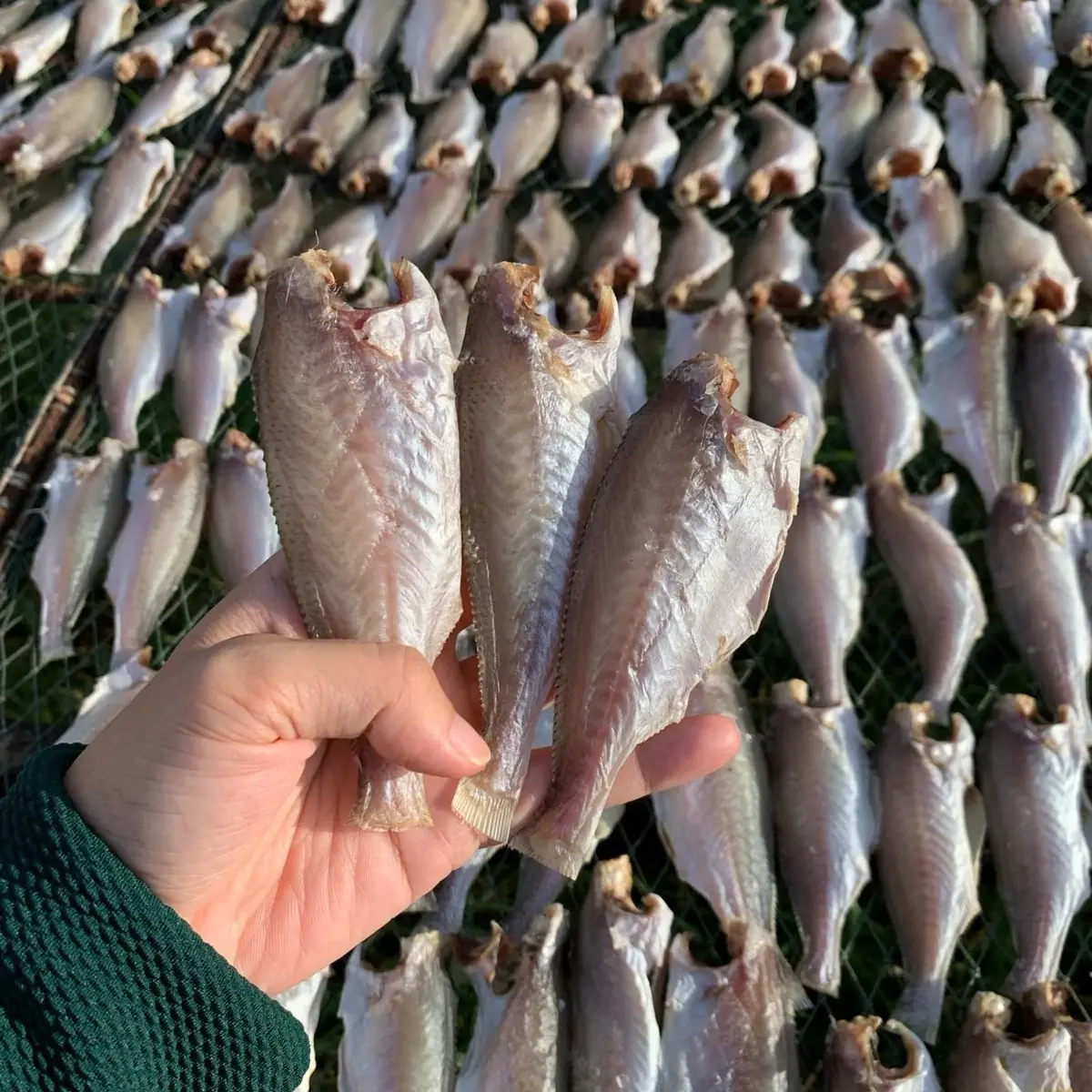 Khô cá đù lưới hàng ba tri bến tre dc đóng gói (0,5 1kg)