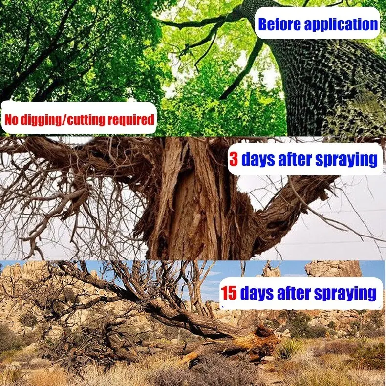 Herbicides remove large trees bamboo shrubs high concentrations of rotten  roots root rot and root death