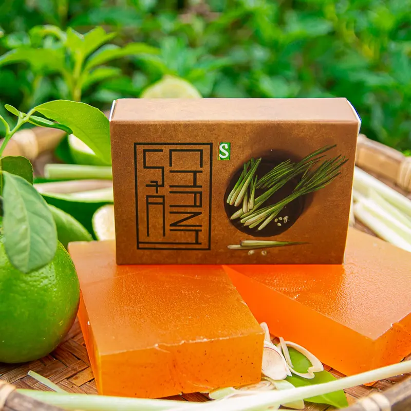 Xà Bông Sả Chanh HTX Sinh Dược 100g Dưỡng Body Nữ Skincare 0
