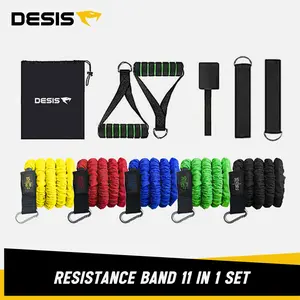 Resistance Band Tube 11 In 1 Set Desis Fitness Gym With Protective Nylon Sleeve Anti Snap