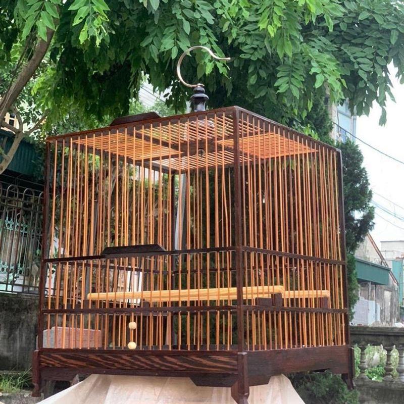 Khung Lồng Chim Chào Mào Mun Đen Vuông Đấu, Thái Đấu, Vuông Cao, Thái Cao - Tặng Kèm 1 Lọ Dầu Ủ Lồng