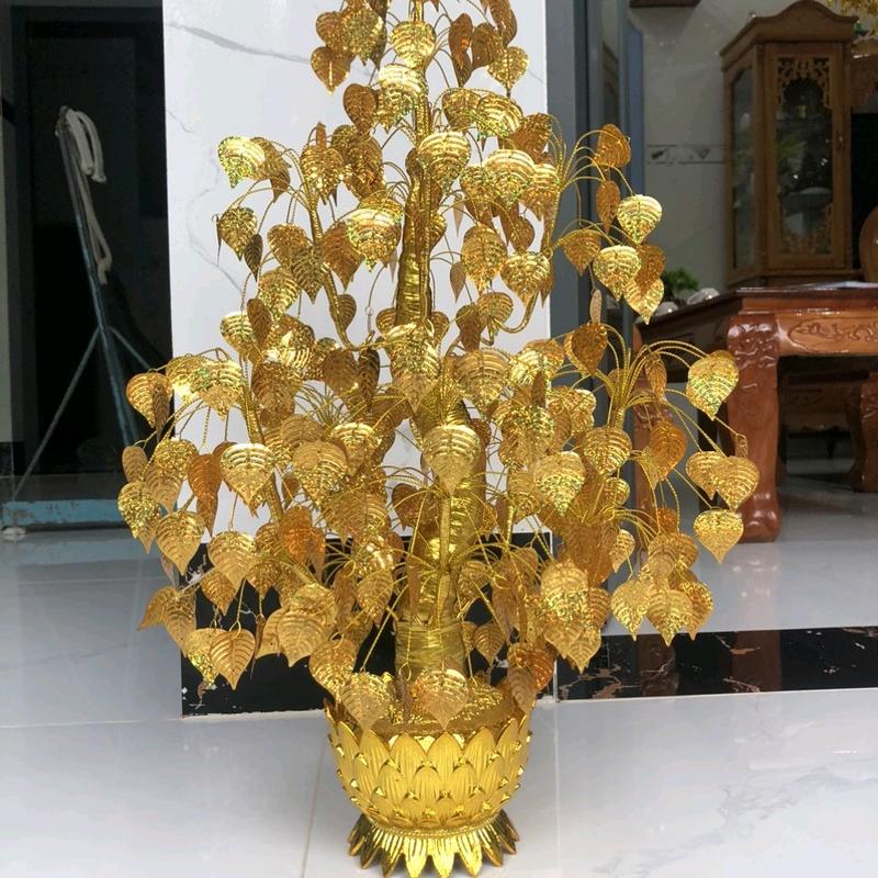  Cây kim tiền   cành vàng lá ngọc  Decor Phòng trần 