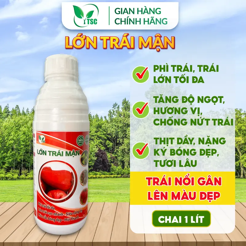Phân Bón Lớn Trái Mận Thụy Sỹ, Phì Trái Tối Đa, Siêu Nặng Ký, Trái Bóng Đẹp, Mùi Thanh - Chai 1 lít 1