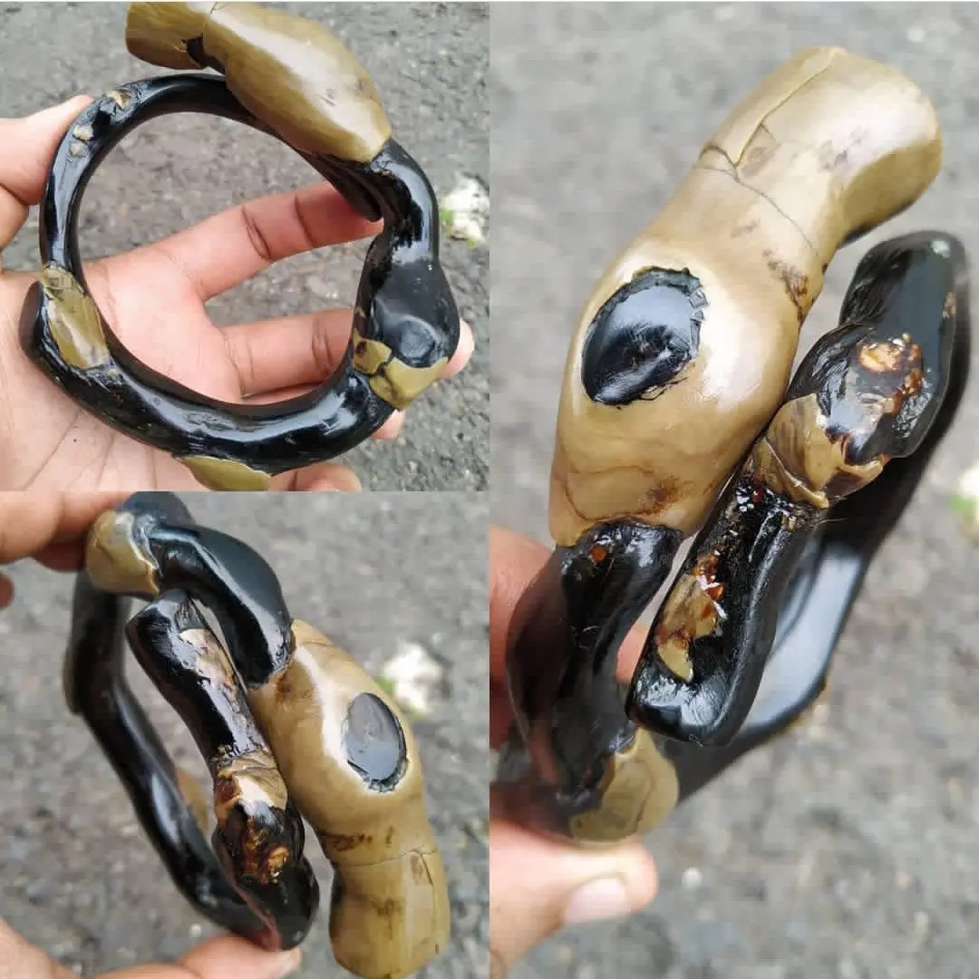 Gelang akar bahar hitam bonggol unik natural original dan berkualitas