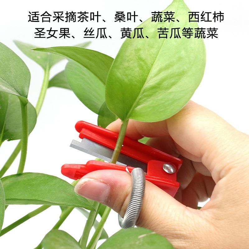 Product Introduction of Garden Thumb Knife, Finger Pick Ring Knife, Garden Cutter For Fruits, Vegetables, Flowers, Fruit Finger Picker, Handy Garden Tool 0