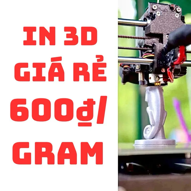 IN 3D GIÁ RẺ THEO YÊU CẦU 600₫/1gram