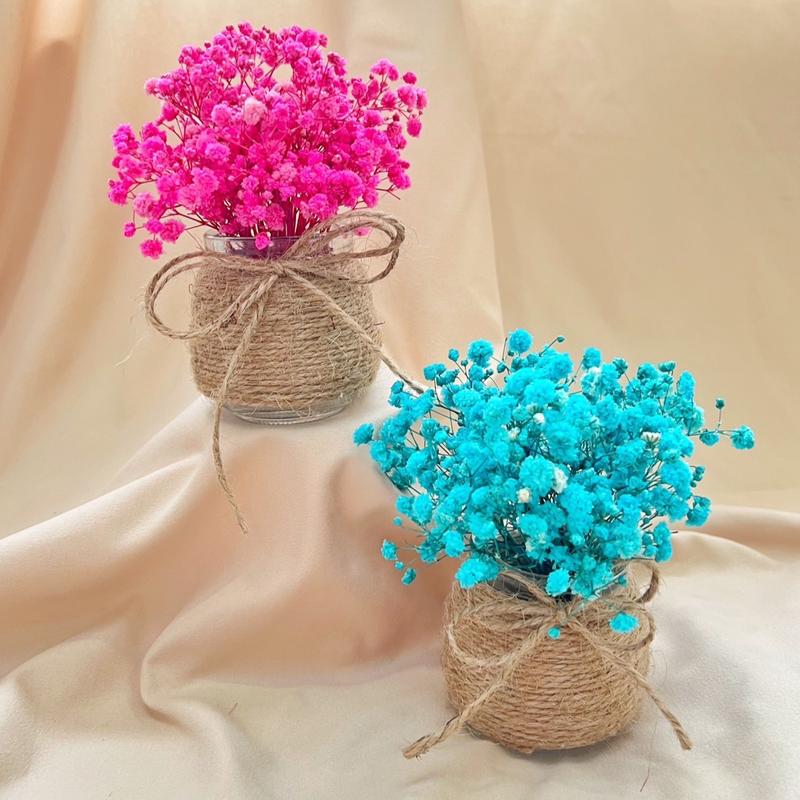  Lọ hoa khô thuỷ tinh mini  FREESHIP  decor bàn làm việc bàn học trang trí chụp hình Decor Phòng Diy 