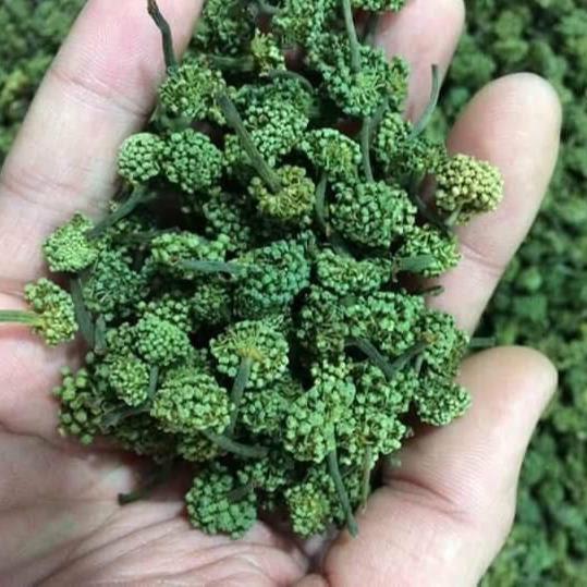 Trà Nụ hoa tam thất - Gói 100gr - Nụ thơm và già đậm nước và ngọt Nước Trà Chè