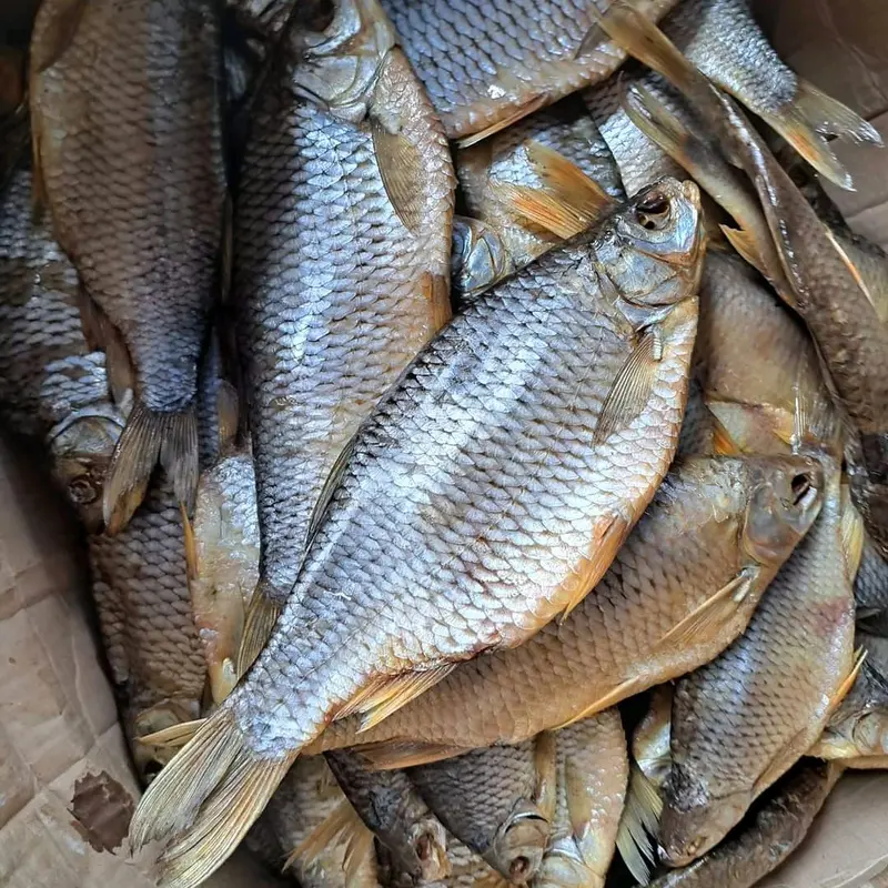 (1 con dùng thử) Cá khô Astrakhan loại ngon, đặc sản nước Nga Food 6