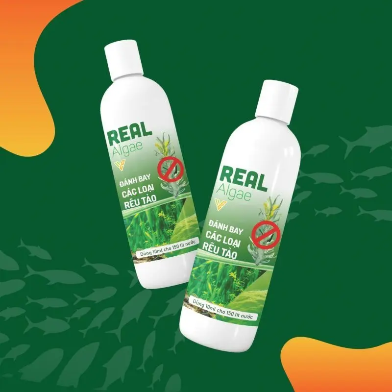 REAL ALGAE - Chuyên xử lý các loại rêu, tảo hại, nước xanh cho hồ cá cảnh 2
