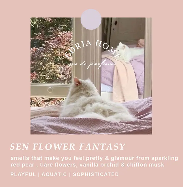 Eau De Parfume Ghibli Series | EDP | Parfum wanita Edriahome 5