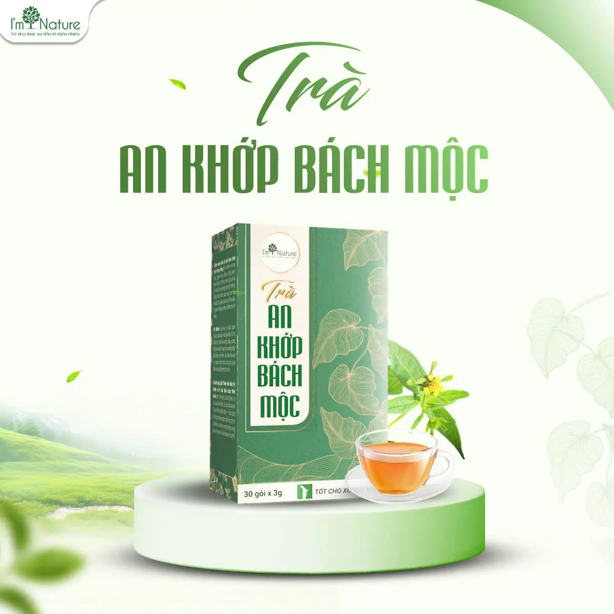 Trà An Khớp Bách Mộc - Hỗ Trợ Sức Khỏe Xương Khớp - Hỗ Trợ Giảm Đau Nhức - Chống Viêm - Tăng Cường Lưu Thông Máu Đến Các Khớp - Thành Phần Thảo Dược