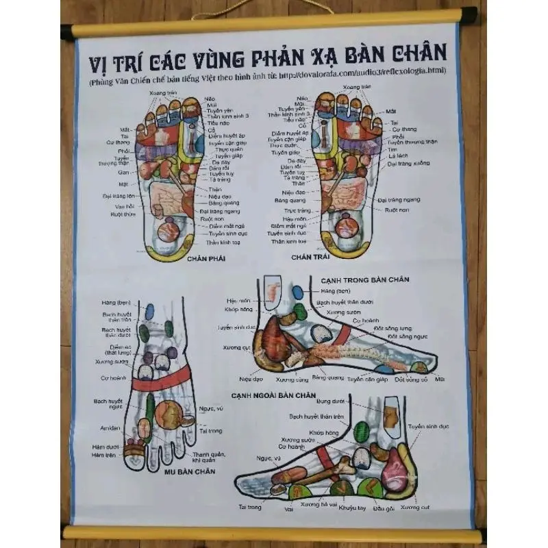 bản đồ huyệt vị bàn chân Tranh treo tường bức ảnh