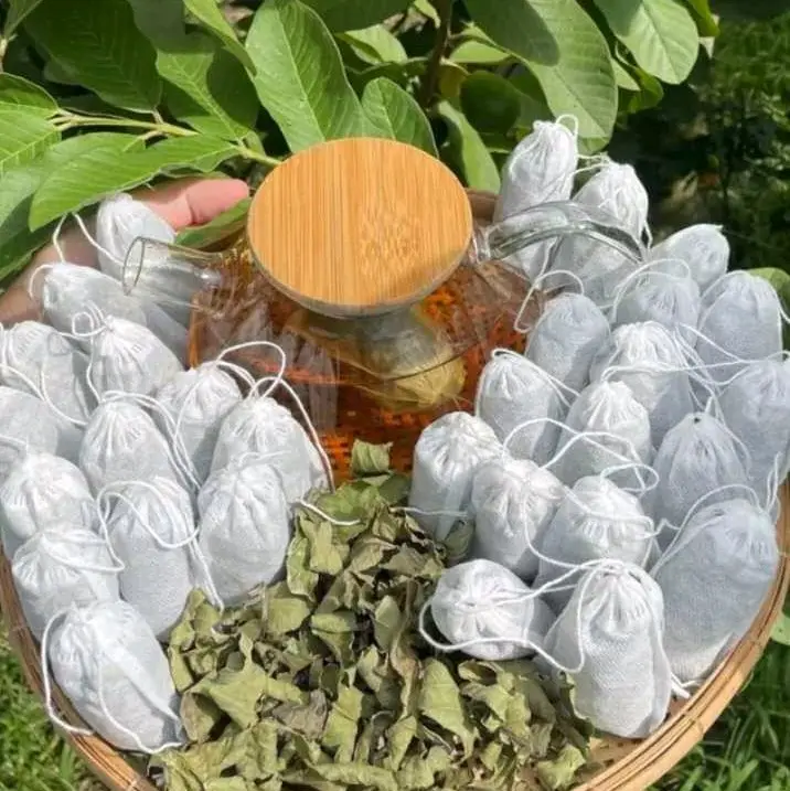 COMBO 30 TÚI LỌC TRÀ LÁ Ổi  Nước Trà Tea 1