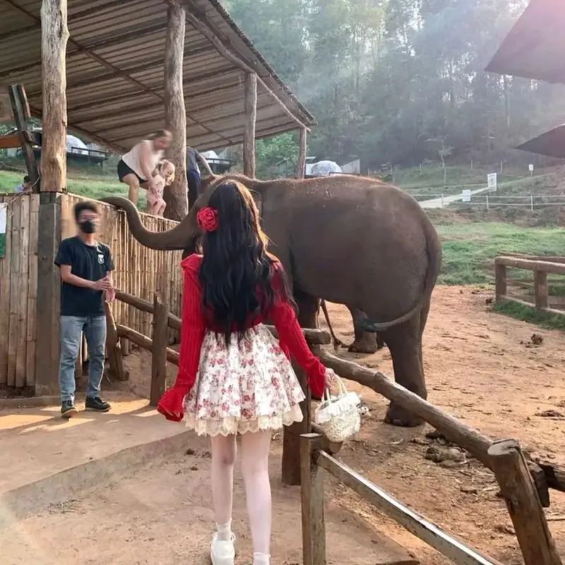 Sét váy 2 dây tiểu thư họa tiết hoa lá phối ren kèm áo khoác bèo dễ thương đi du lịch Đà Lạt,đi biển, chụp hình , sống ảo  siêu xinh cho nữ - Women 2