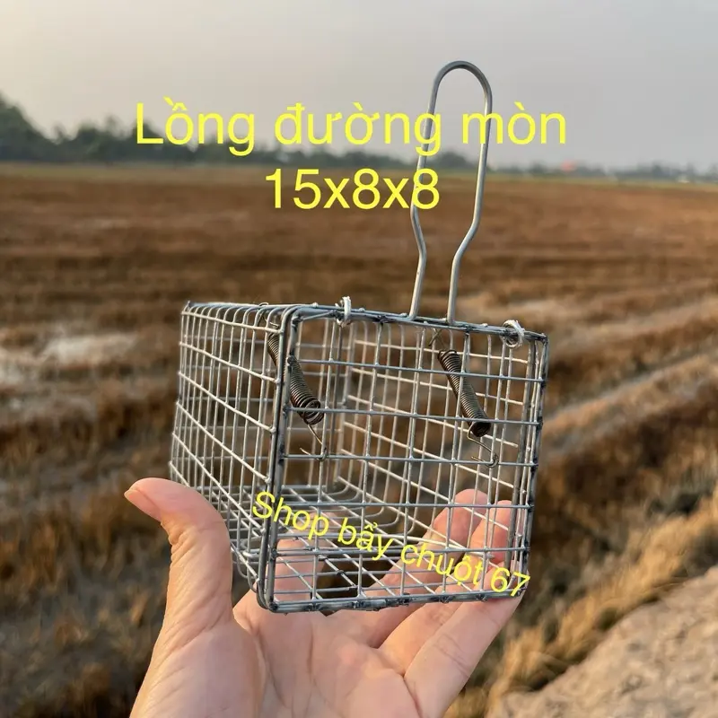 Combo 25 lồng chuột  đường mòn