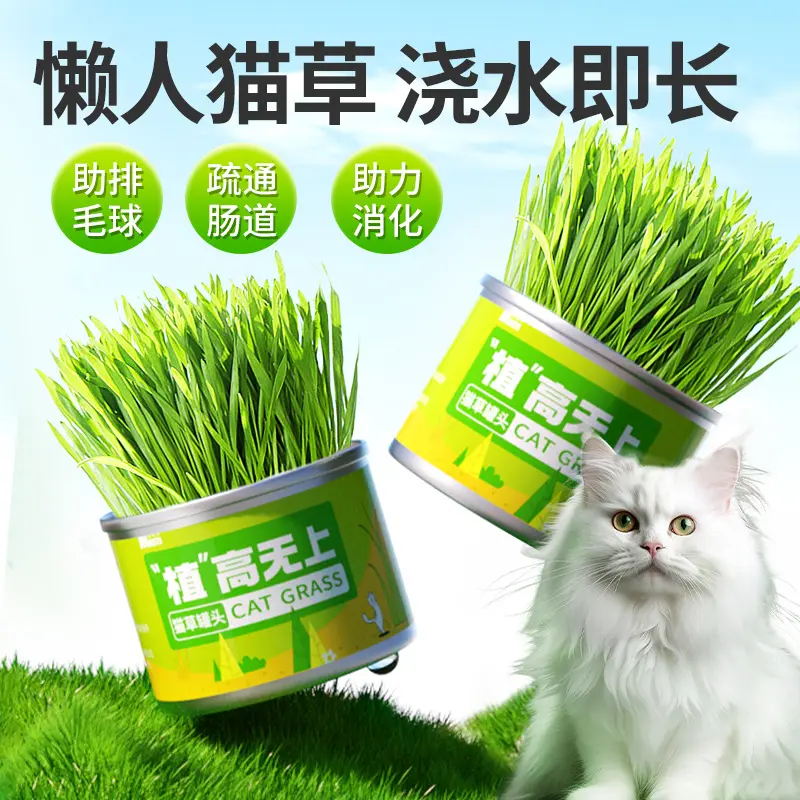 Lazy Cat Grass Pot, High-Rise Cat Grass Planting Pot, Wheat Seedling Cat Snacks, Hair Ball, Cat Grass Can
