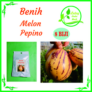 BENIH MELON PEPINO ISI 8 BIJI