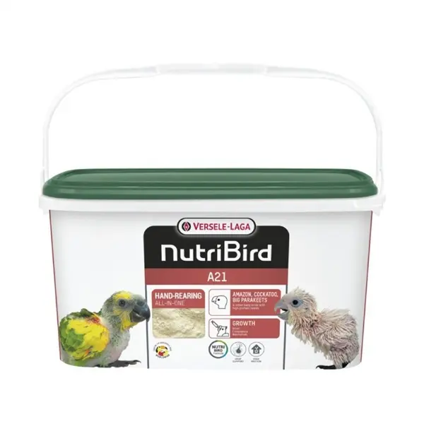 Bột Dành Cho Vẹt Non NutriBird A21/Túi 100g