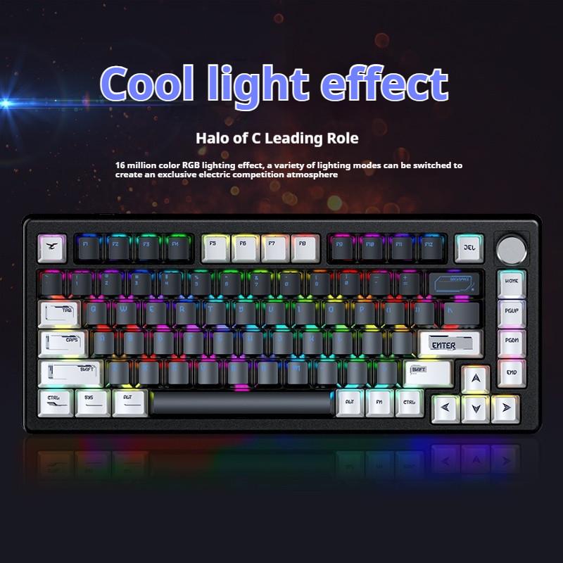 Bàn Phím Cơ Gaming - PKSMART  LZ75 - Trục Từ GATERON Rapid Trigger - Tần Số Quét 1000HZ - Led RGB 18 Hiệu ứng 7 Màu LED Đơn - Núm Xoay Đa Năng - App Chỉnh Macro Switch LED - Anti Ghosting