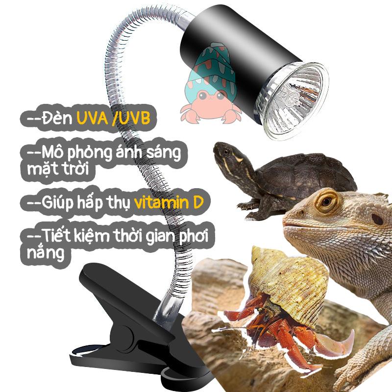 Đèn sưởi UVA UVB chống cháy có công tắc điều chỉnh cho ốc mượn hồn rùa thằn lằn chim chuột - 220V-25W 50W