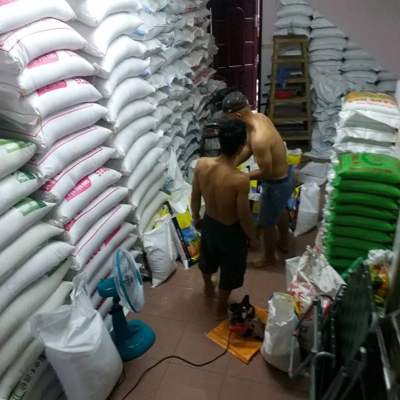 Gạo Thơm Thượng Hạng St21 5kg/túi GẠO MỚI DẺO NHIỀU,THƠM- Hạt Gạo Dẻo Dai, Ngọt Tự Nhiên - Food bưu gạo  5kg 4